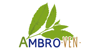 ambro valle